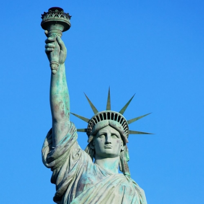 Picture of THE STATUE OF LIBERTY IN NEW YORK