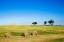 Picture of HAY BALES RURAL NEBRASKA