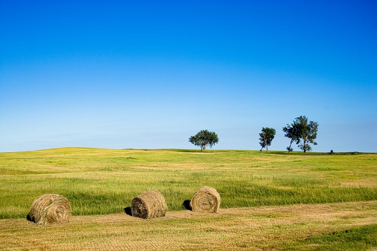 Picture of HAY BALES RURAL NEBRASKA