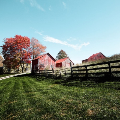 Picture of GROUPING OF SMALL BARNS IN MONROE COUNTY