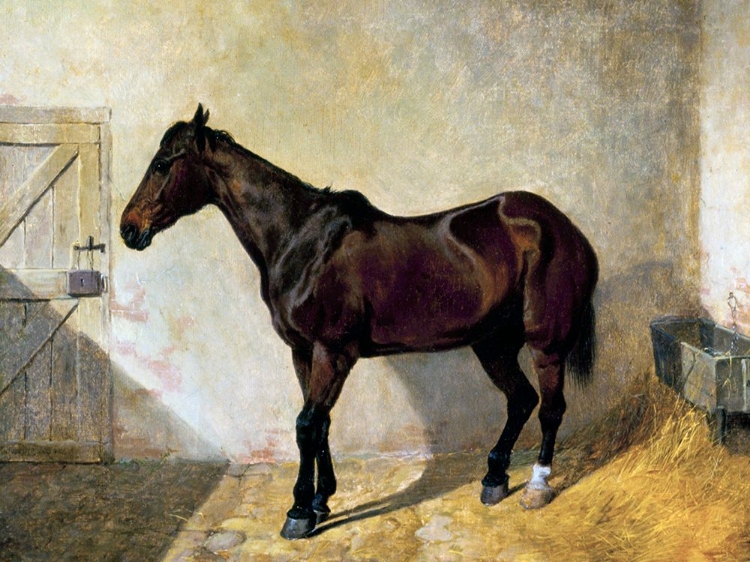 Picture of HORSE
