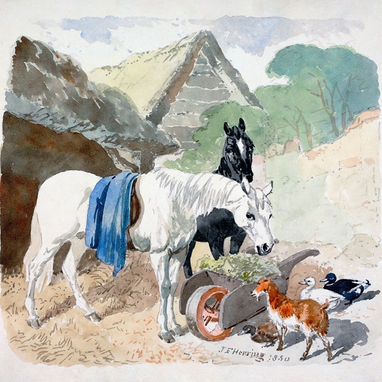 Picture of TWO HORSES EATING FROM A WHEEL-BARROW WATCHED BY A GOAT AND THREE DUCKS