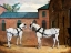 Picture of GREY CARRIAGE HORSES IN THE COACHYARD AT PUTTERIDGE BURY-HERTFORDSHIRE