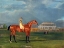 Picture of MEMNON-WITH WILLIAM SCOTT UP
