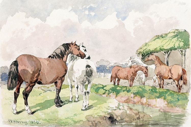 Picture of FIVE HORSES NEAR A BROOK