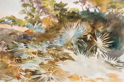 Picture of LANDSCAPE WITH PALMETTOS