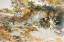Picture of LANDSCAPE WITH PALMETTOS