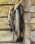 Picture of ANGLING IN BRITISH ART THROUGH FIVE CENTURIES