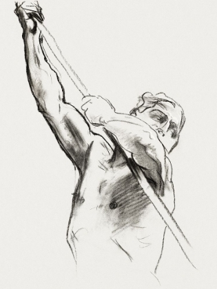 Picture of MALE TORSO WITH POLE