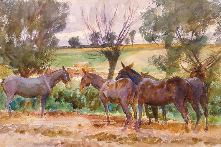 Picture of MULES