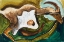 Picture of STUDY FOR GOAT