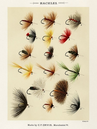 Picture of HACKLES FROM FAVORITE FLIES AND THEIR HISTORIES