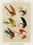Picture of BASS FISHING FLIES III FROM FAVORITE FLIES AND THEIR HISTORIES