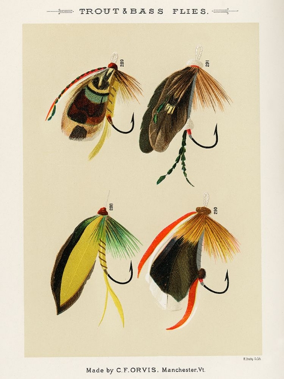 Picture of TROUT AND BASS FISHING FLIES FROM FAVORITE FLIES AND THEIR HISTORIES