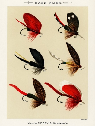 Picture of BASS FISHING FLIES V FROM FAVORITE FLIES AND THEIR HISTORIES