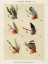 Picture of LAKE FISHING FLIES III FROM FAVORITE FLIES AND THEIR HISTORIES