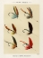 Picture of LAKE FISHING FLIES V FROM FAVORITE FLIES AND THEIR HISTORIES