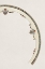 Picture of DESIGN FOR A NORITAKE PLATE XIV