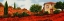 Picture of I PAPAVERI SULLE COLLINE