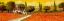 Picture of FUOCO DI TOSCANA