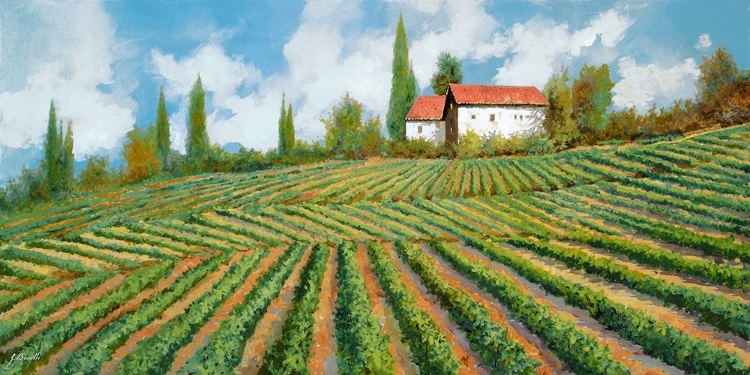 Picture of LE VIGNE DI COLLINA