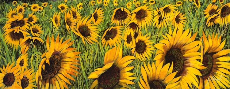 Picture of GIRASOLI GIALLI I