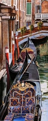 Picture of GONDOLA COLORATA