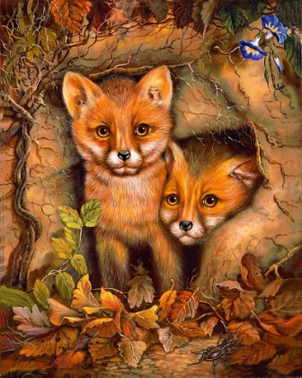 Picture of FOX CUBS