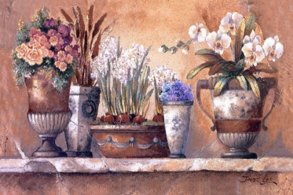 Picture of ANTIQUE BLOSSOMS