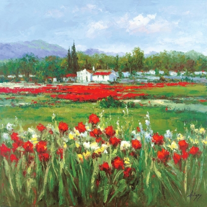 Picture of RED FLOWER FIELD