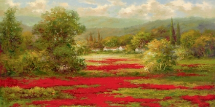 Picture of RED POPPY FIELD 