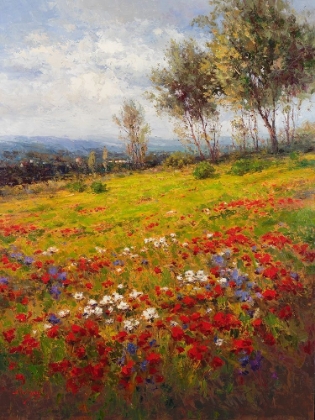 Picture of WILDFLOWER HILLSIDE