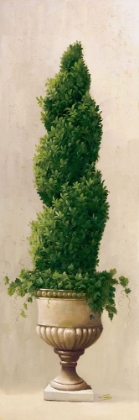 Picture of ROMAN TOPIARY I