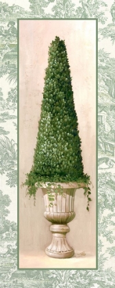 Picture of IVY TOPIARY II