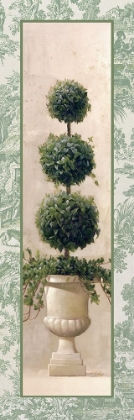 Picture of IVY TOPIARY IV