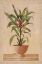 Picture of POTTED PALM II
