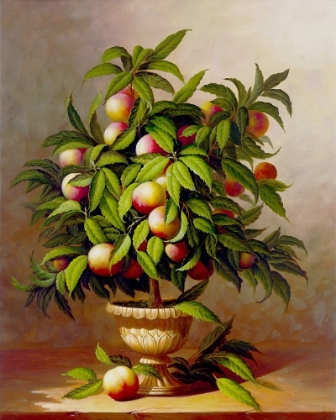 Picture of POTTED PEACH TREE