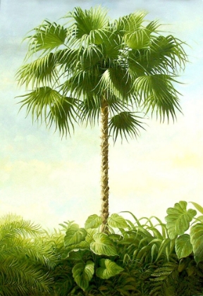 Picture of PALM I