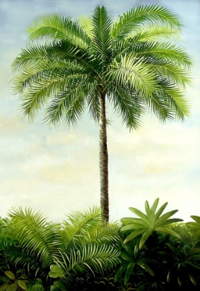 Picture of PALM II