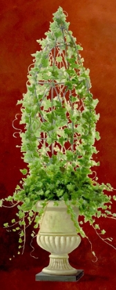 Picture of IVY TOPIARY I