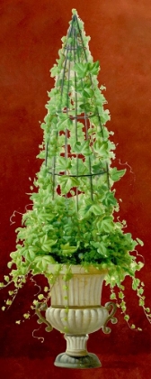 Picture of IVY TOPIARY II