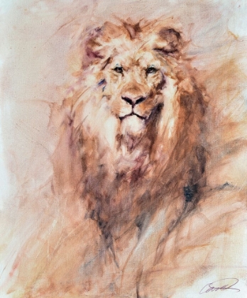Picture of LOOK OF A LION