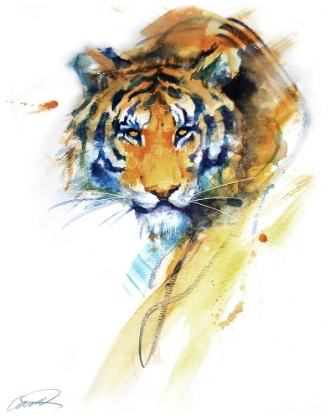 Picture of TIGER STROKES