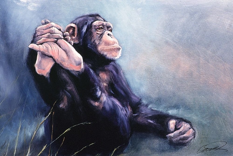 Picture of CEST LA VIE CHIMP