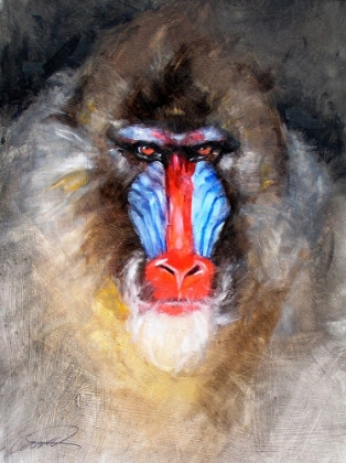Picture of BLUSHING MANDRILL