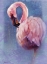 Picture of PRETTY IN PINK FLAMINGO