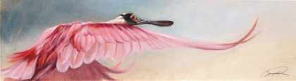 Picture of WINGSPREAD SPOONBILL