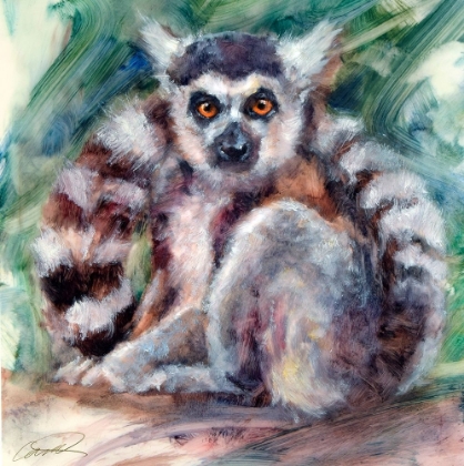 Picture of RING TAILED LEMUR