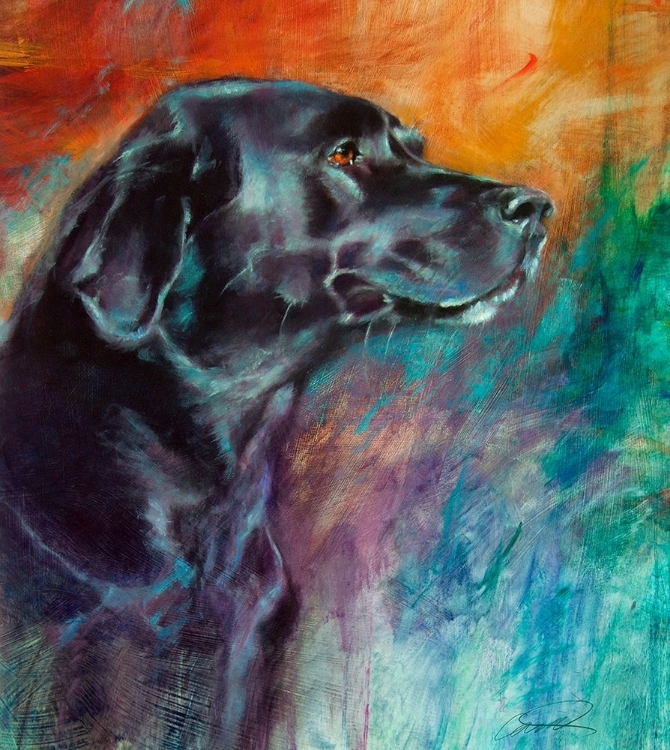 Picture of RAINBOW RETRIEVER