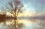 Picture of MISTY SERIES #6